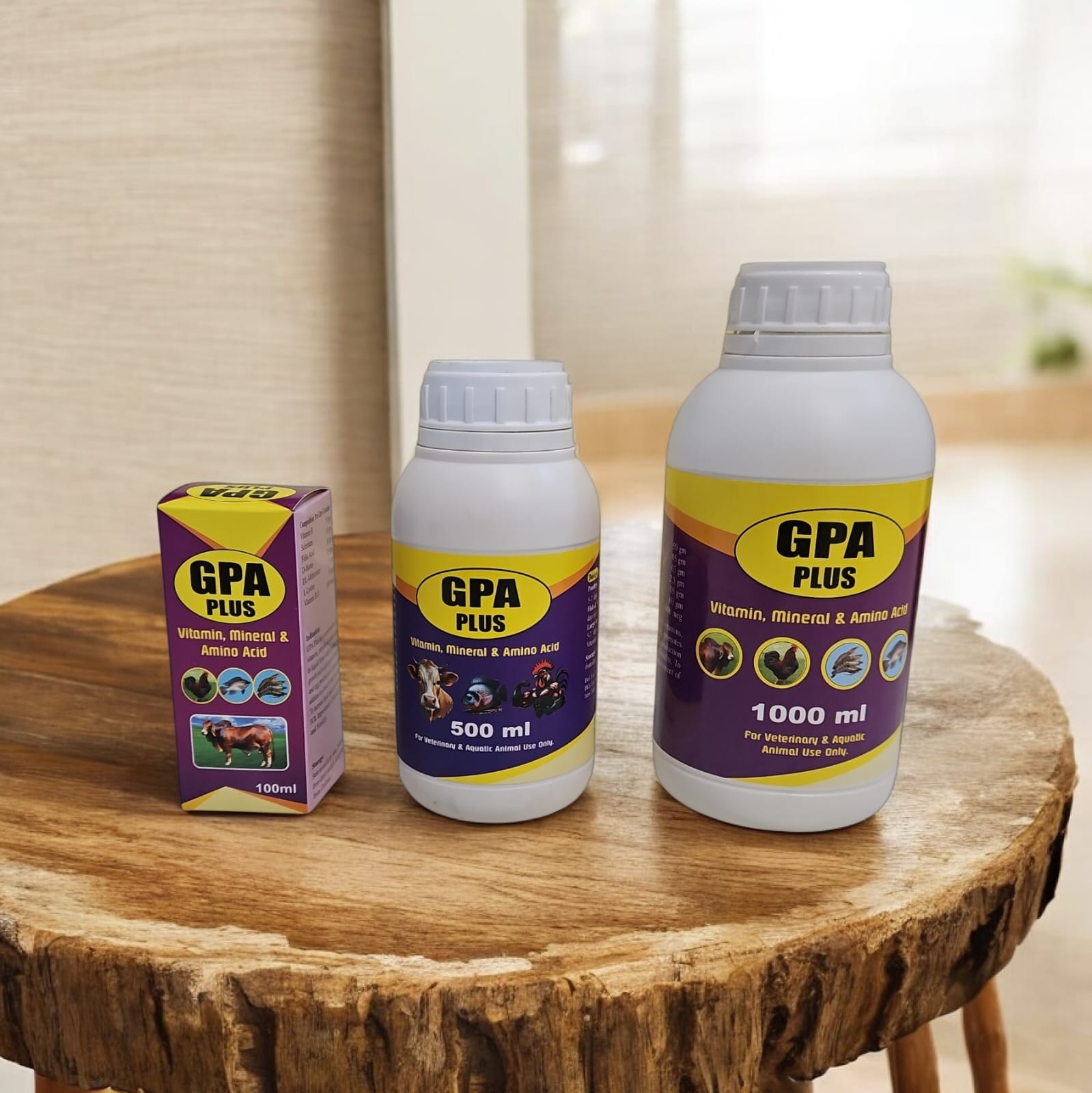 GPA Plus