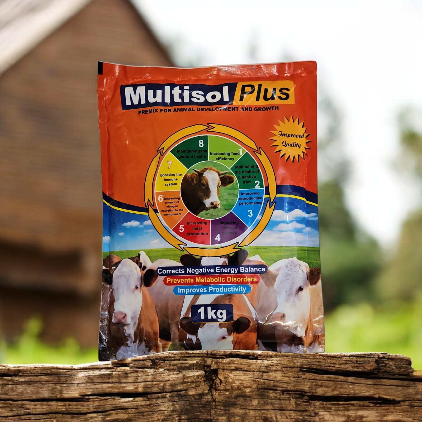 Multisol plus